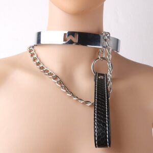 BDSM - Alloy Collar & Leash - FRISKY BUSINESS SG