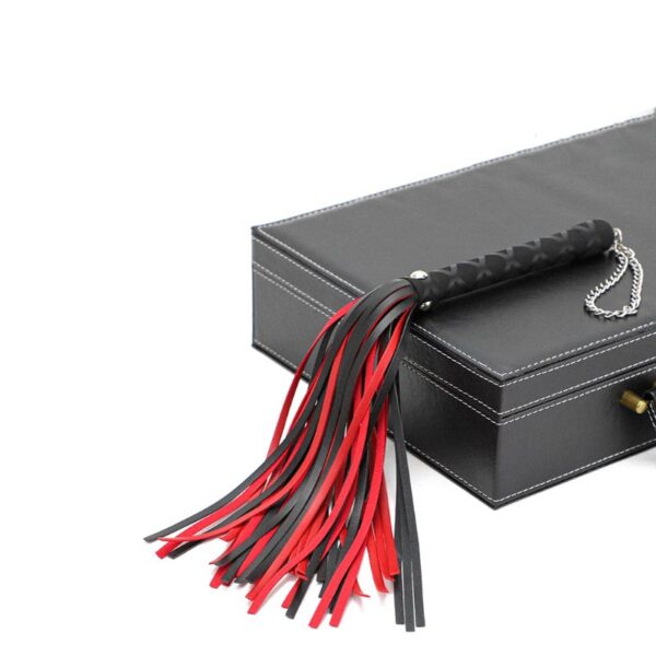 BDSM - Beginner's Flogger - FRISKY BUSINESS SG