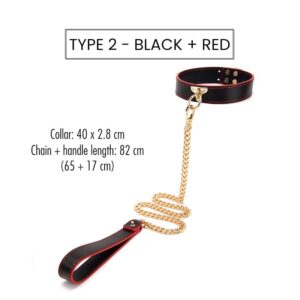 BDSM - Collar & Leash - FRISKY BUSINESS SG