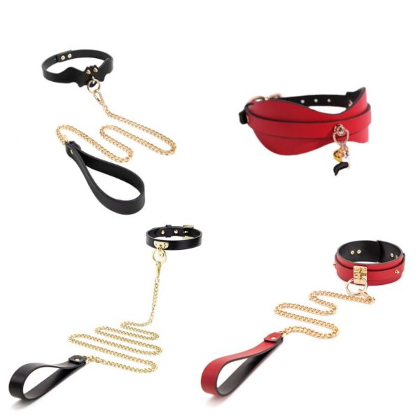 BDSM - Collar & Leash - FRISKY BUSINESS SG