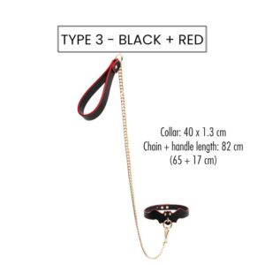 BDSM - Collar & Leash - FRISKY BUSINESS SG