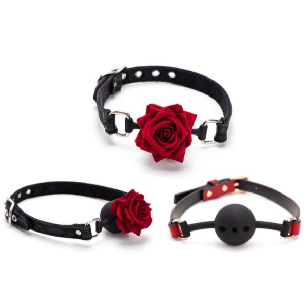 BDSM - Silicone Ball Gag - FRISKY BUSINESS SG