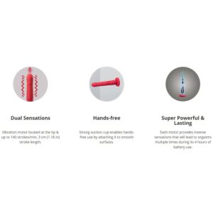 Lovense Gravity App-Controlled, Automatic Thrusting & Vibrating Suction Cup Dildo - FRISKY BUSINESS SG